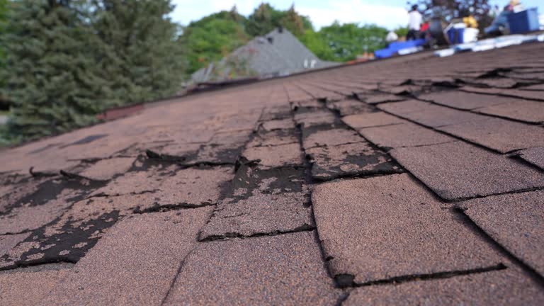 Best Skylight Installation and Repair  in Hillsdale, MI