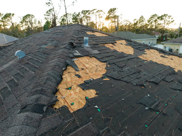 Best Commercial Roofing Services  in Hillsdale, MI