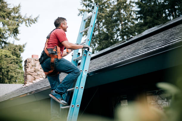 Best Storm Damage Roof Repair  in Hillsdale, MI