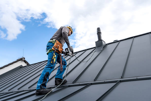 Best Asphalt Shingle Roofing  in Hillsdale, MI